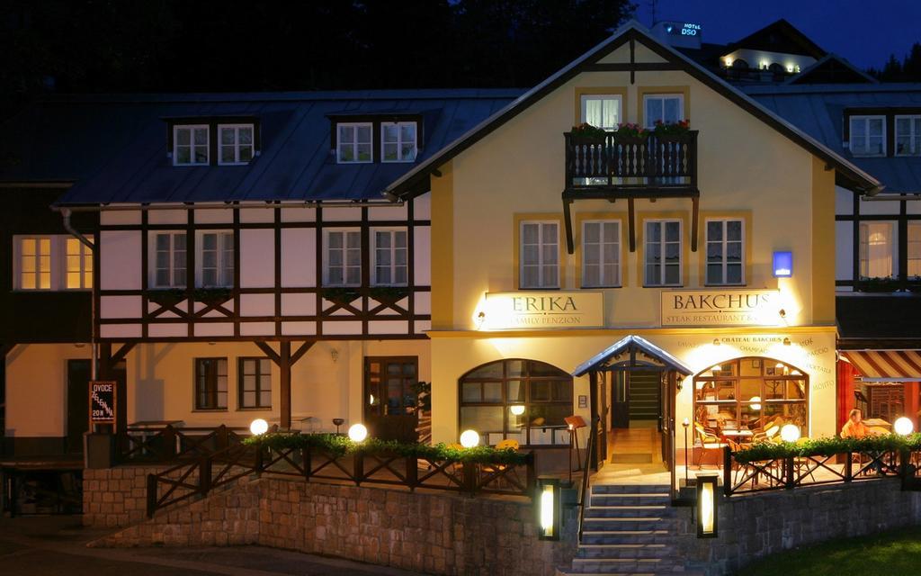 Hotel Erika Špindlerŭv Mlýn Exteriör bild